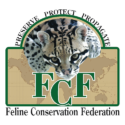 F2 Savannah Cats MI